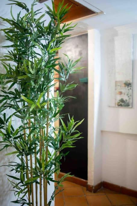 Via Dei Cestari Loft Apartment Rome Bagian luar foto